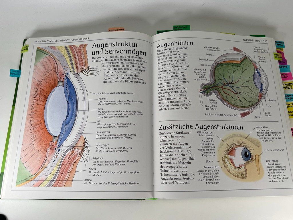 Libri: Dr. Tony Smith - Anatomieatlas – Difettoso da Häusernmoos venduto da Eselsohren 4