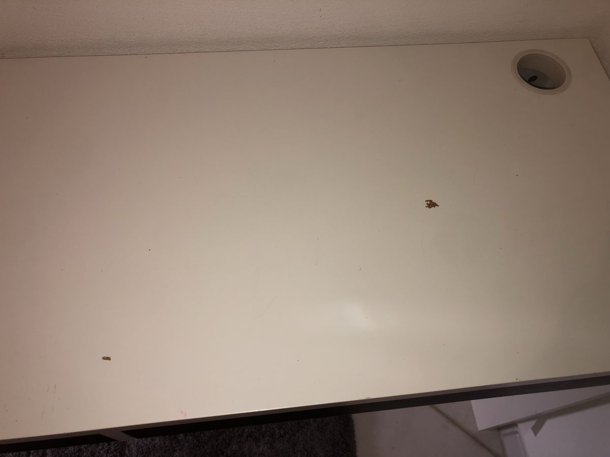 Ikea Scrivanie: IKEA Schreibtisch + Bürostuhl – Usato da Chur venduto da ropa68 3