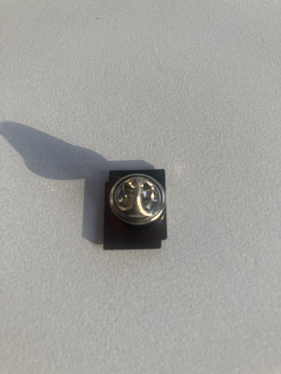 Plaketten & Abzeichen: Pin Techno AG – Gebraucht aus Eschlikon TG von Urs.knopf 1
