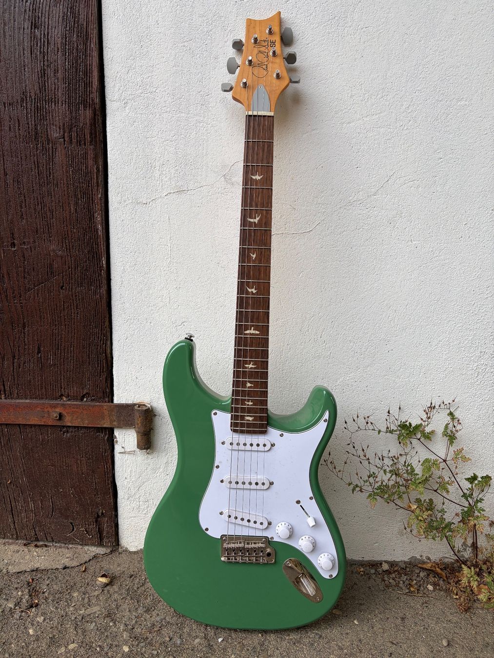 Strumenti musicali: E-Gitarre PRS SE Standard 24 Grün – Usato da Müntschemier venduto da R.e.b.e.c.c.a