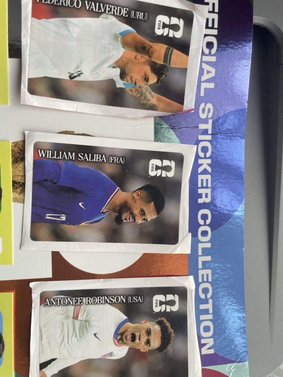 Panini Carte collezionabili: Panini – Usato da Wetzikon ZH venduto da Rasalingam 4