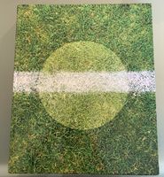 Football 1:1 Switzerland Fotobuch(Limitiert) 2008