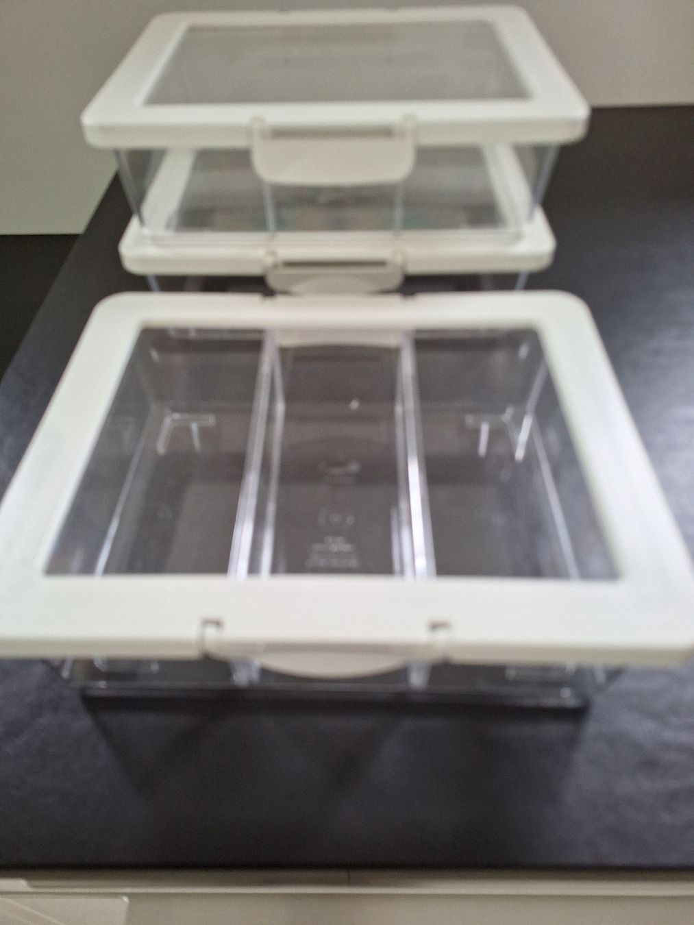 Altro per la casa: 3 X TRANSPARENTE  BOXEN MIT DECKEL – Usato da Steinhausen venduto da togoraul123 1