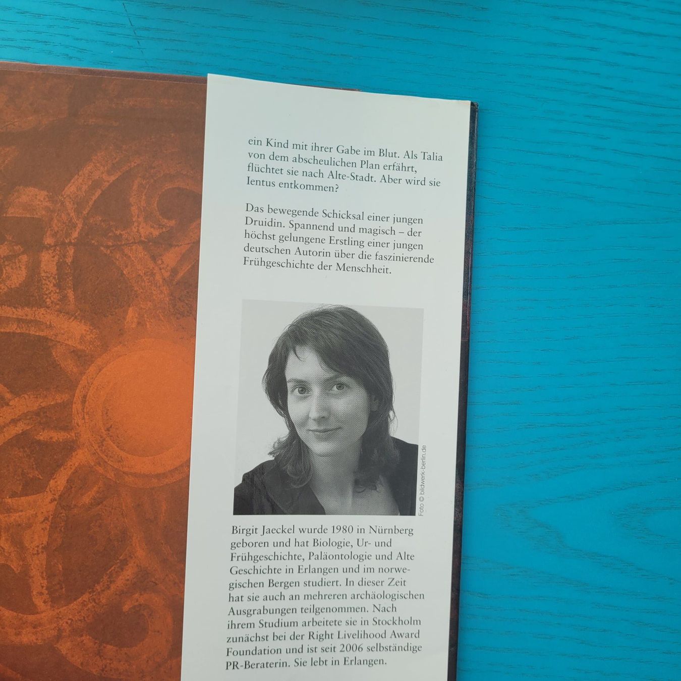 Bücher: Birgit Jaeckel- Die Druiden / Fantasy – Gebraucht aus SCHÜBELBACH von CoKaHa 3
