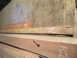 Ulmen Furnier Bund 259