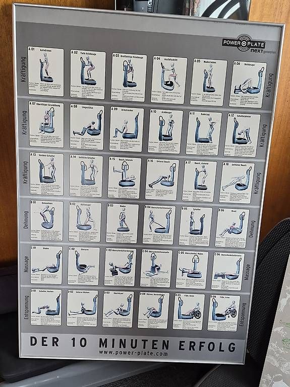 Power Plate Hometrainer: Original Powerplate – Usato da St. Gallen venduto da Roemer11 1