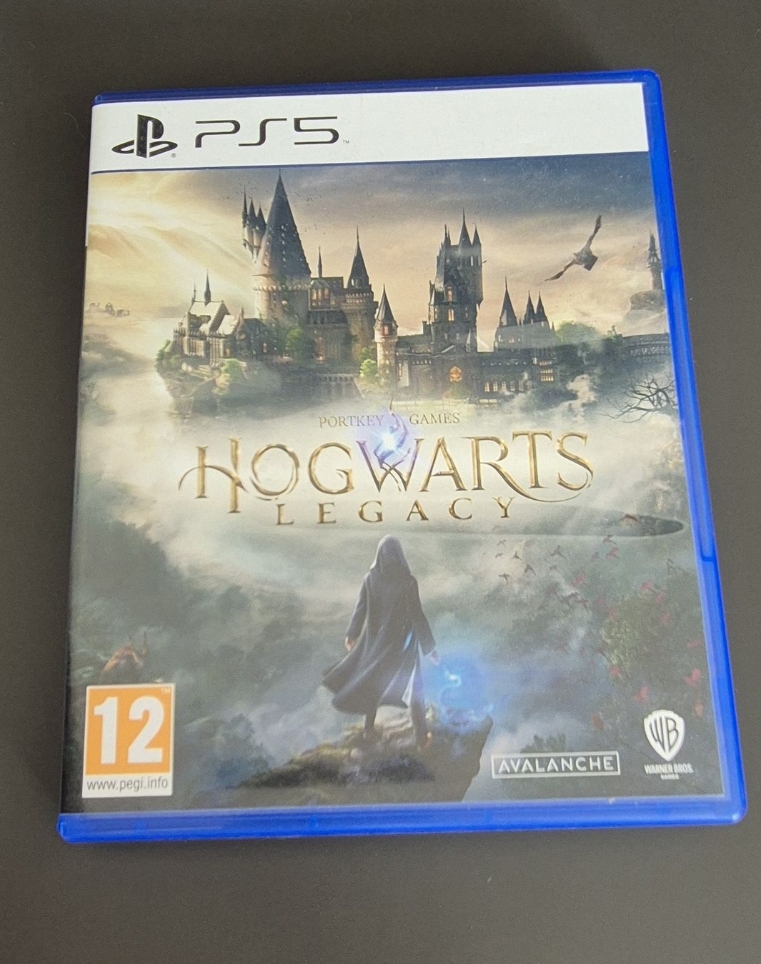 Sony Konsolen: Sony PlayStation 5 Konsole mit 2 Controller inkl. 7 Games – Gebraucht aus Rudolfstetten von gunibuje 1