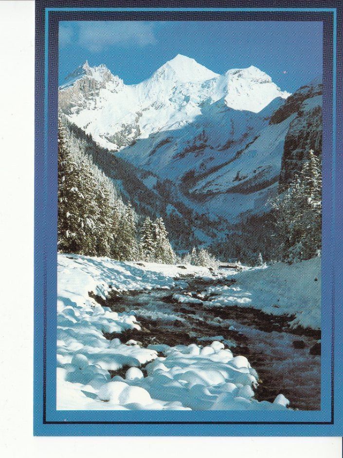 Ansichtskarten: Blümlisalp um 1995 – Gebraucht aus Bürglen TG von StampGraf
