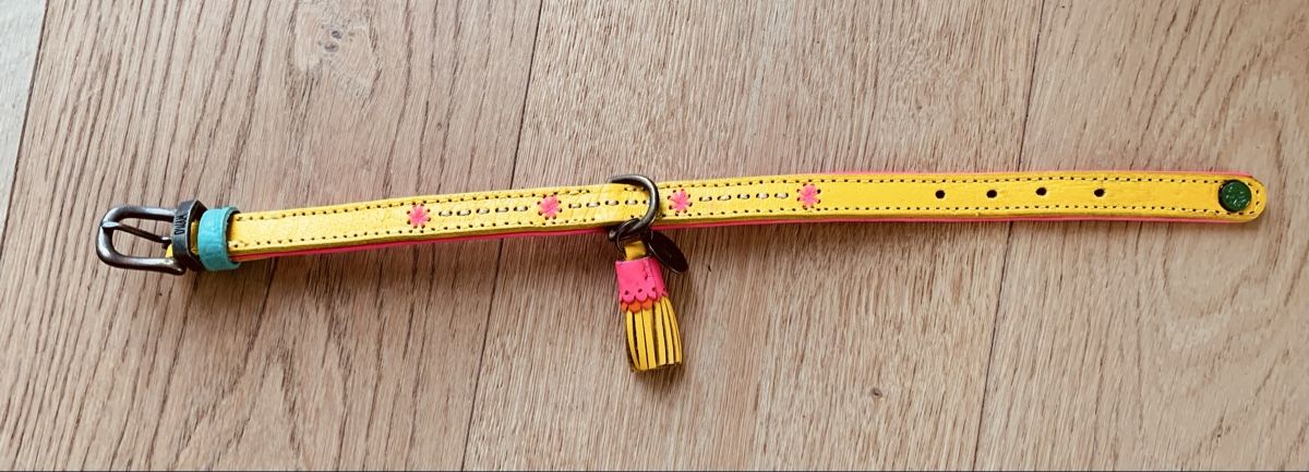 Guinzagli & Collari: Hundehalsband – Nuovo (secondo la descrizione) da Hettlingen venduto da Timba02 1