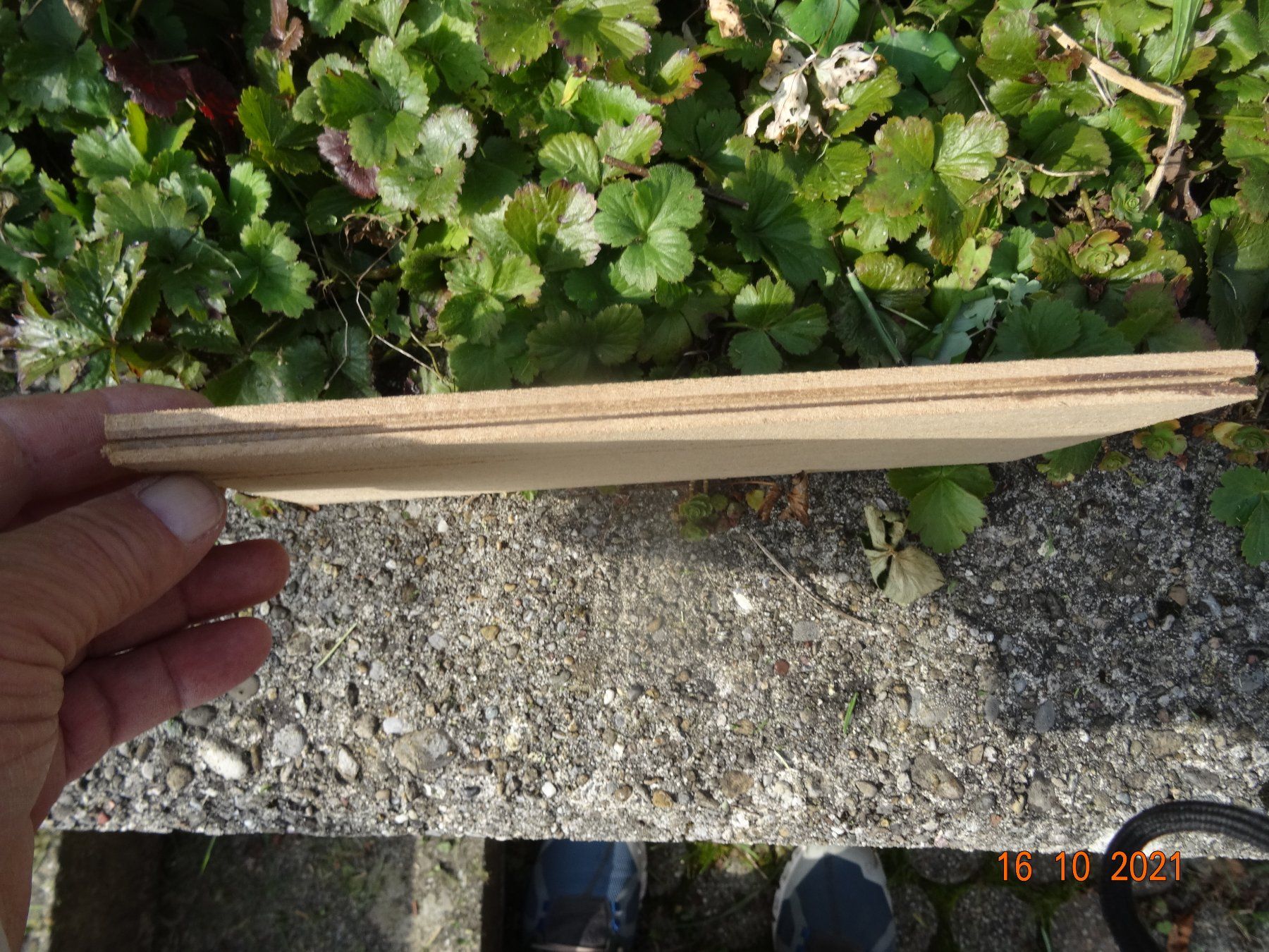 Rivestimenti per pavimenti: Bodenplatten Pavafloor - Park – Nuovo e nell'imballaggio originale da Mettmenstetten venduto da Habicht2009 3