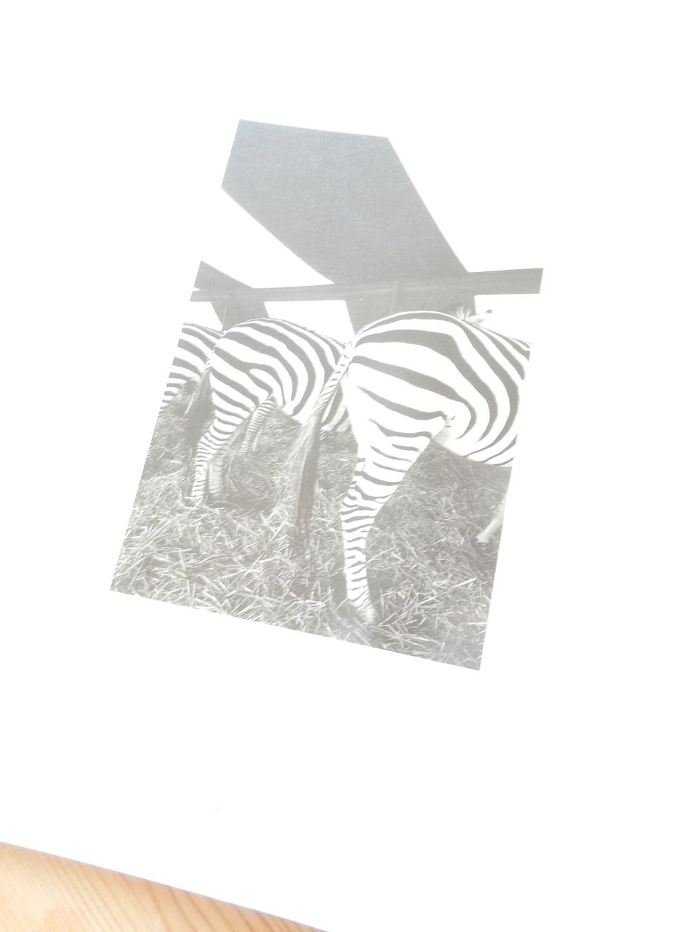 Documenti: Kunst Katalog Max Kellenberger – Nuovo (secondo la descrizione) da Jona venduto da JOberg_25 5