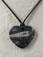 Orthoceras Fossil Herz Anhänger