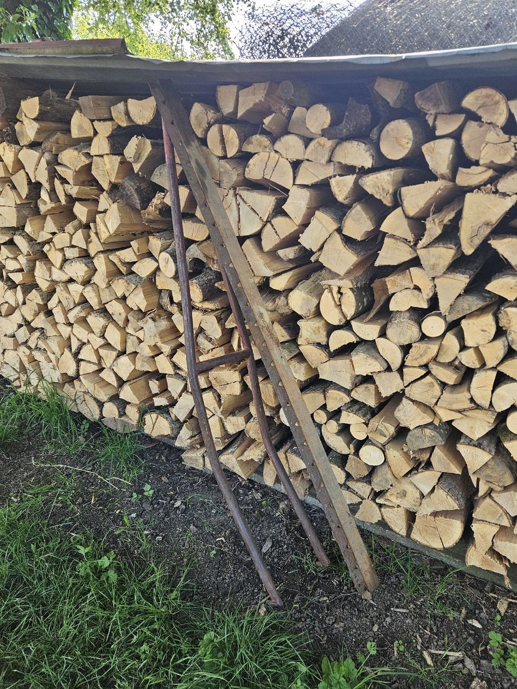 Rapid Tutte le macchine: Rapid 505 – Usato da Hägglingen venduto da jom_96vd 4
