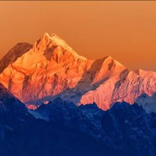 Profile image of Majvi
