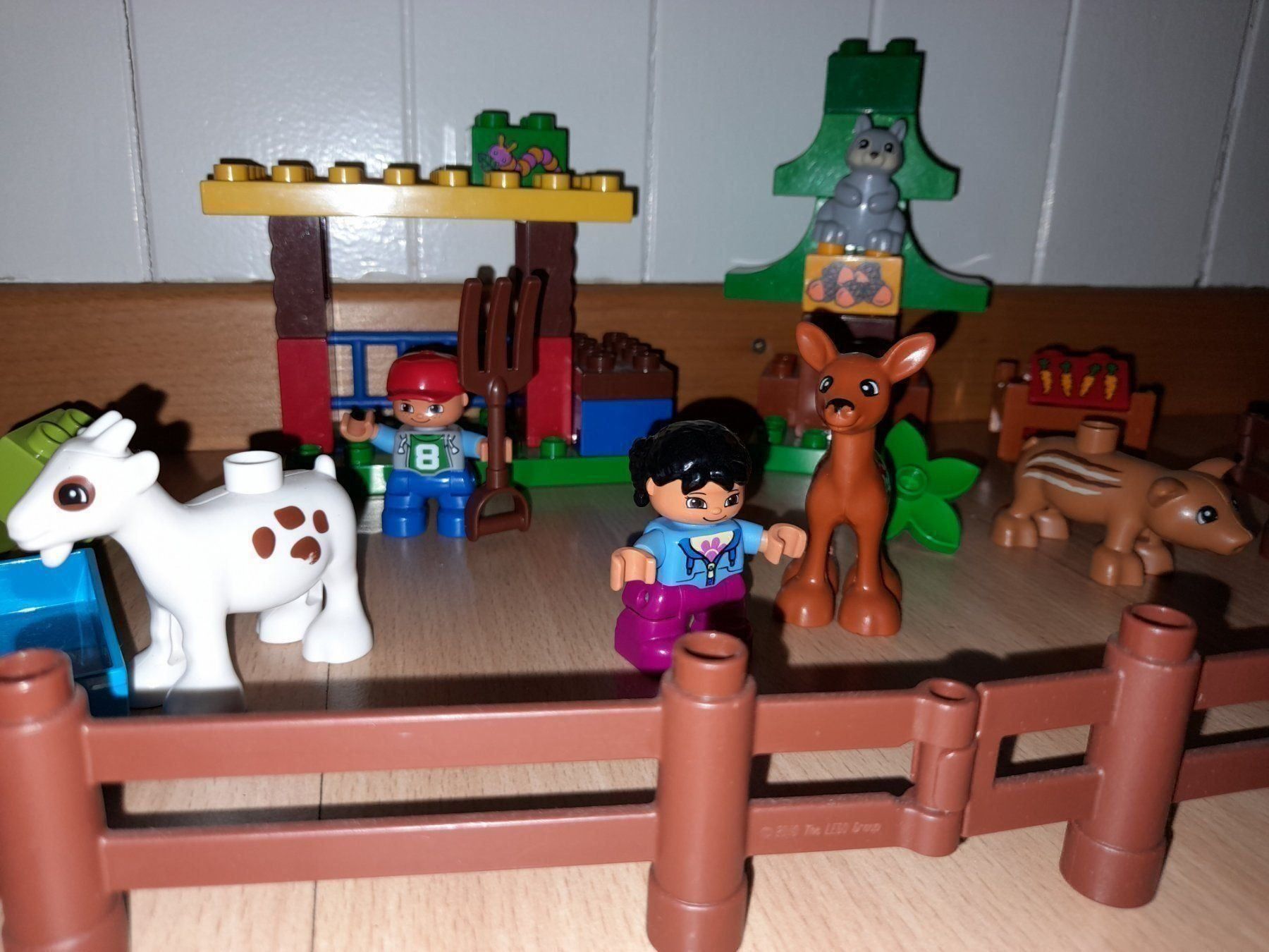 Lego Giocattoli: Lego Duplo Wildpark 10582 – Usato da Wittenbach venduto da Gugielmo 1