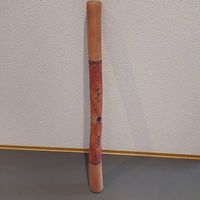 Didgeridoo original gekauft in Australien