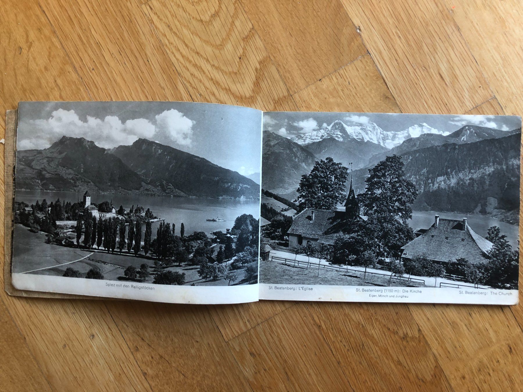 Libri: Album Interlaken Berner Oberland – Usato da Zürich venduto da allp 3
