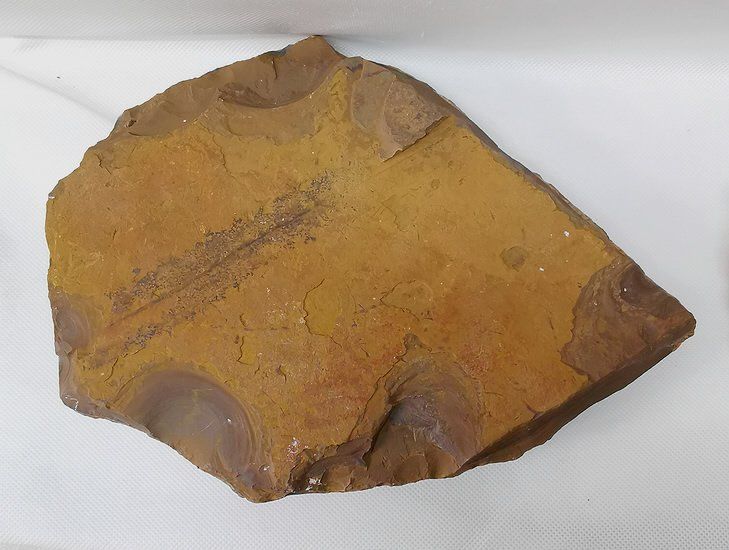 Minerali & Pietre curative: Tigerauge Rohstein – Nuovo (secondo la descrizione) da Walenstadt venduto da vkt_qc8d 3