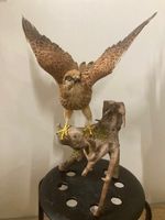 Turmfalke