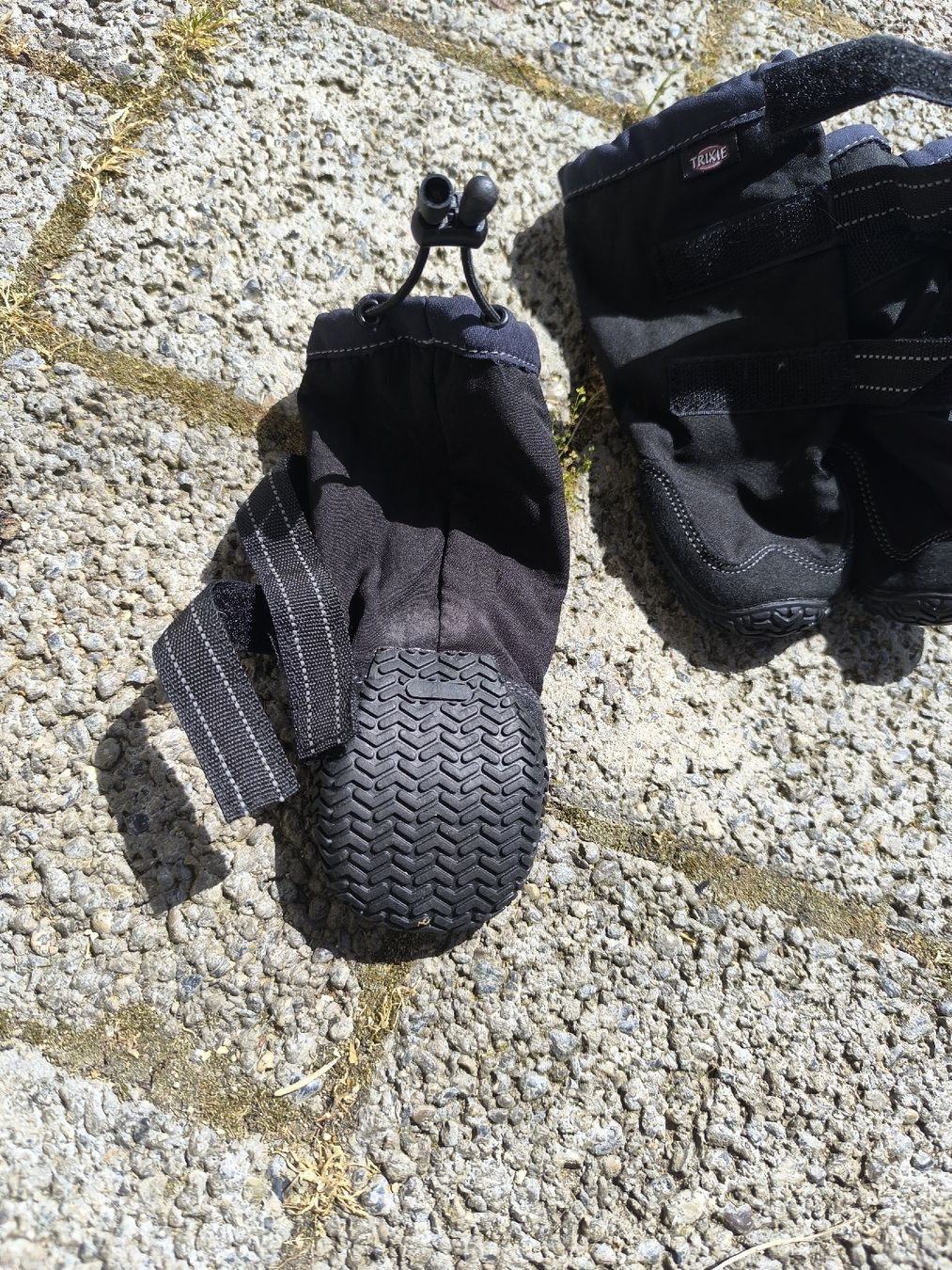 Abbigliamento: Pfotenschutz – Usato da  venduto da  1
