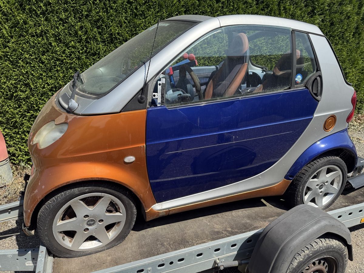 Smart Automobili: 11 Smart Autos – Usato da Niederbipp venduto da baggerch 2