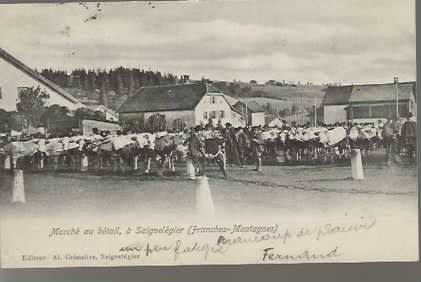 Cartes postales: carte postale Saignelégier – D'occasion à Sorvilier par carose01