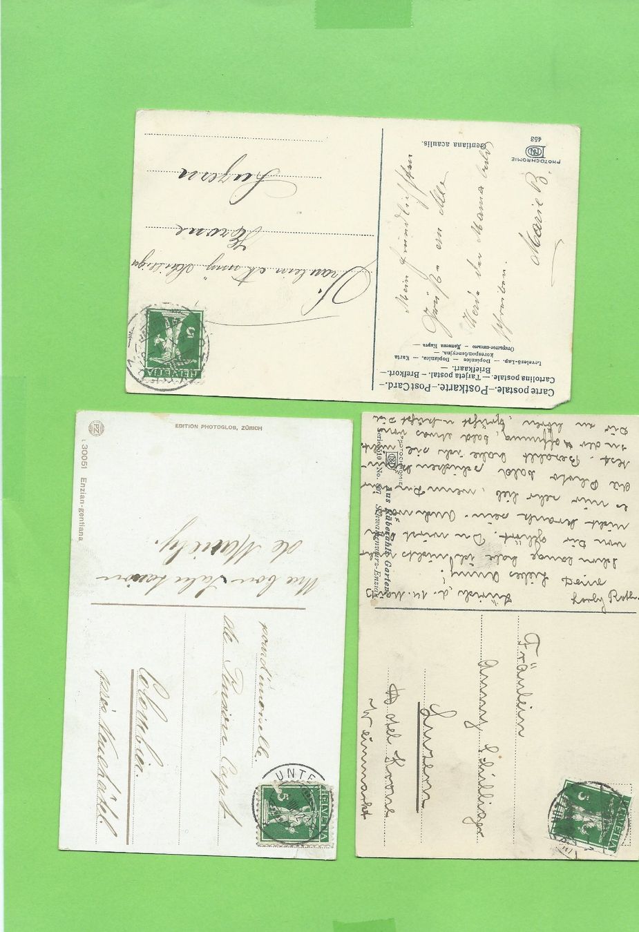 Cartoline postali: 3 Antike Postkarten, Enzian, Berge, ca. 1907 – Usato da Zürich venduto da t24_de 1