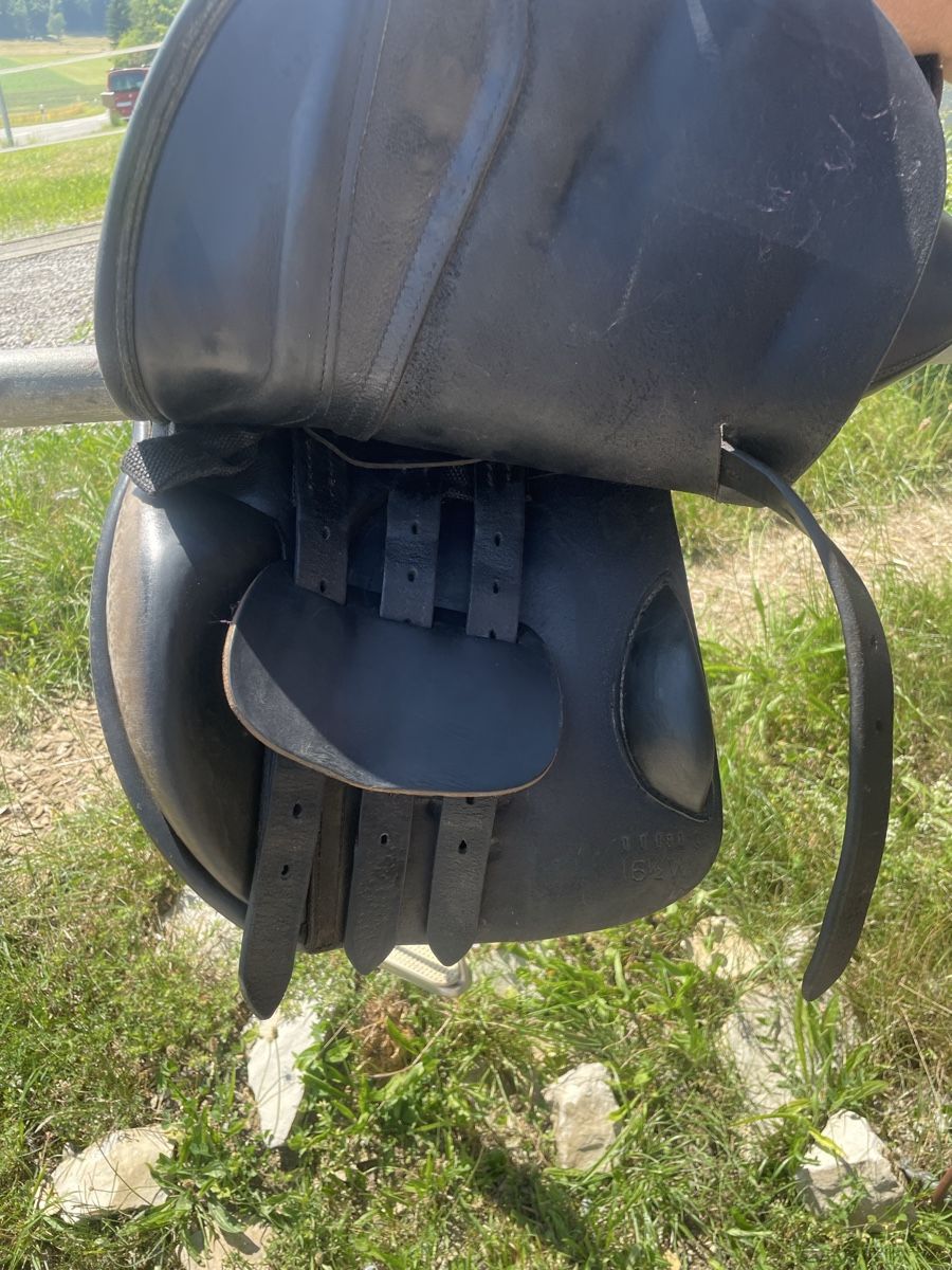 Selle & Accessori: Rancher Sattel  Spyrig – Usato da Mönthal venduto da Akirebi66 4