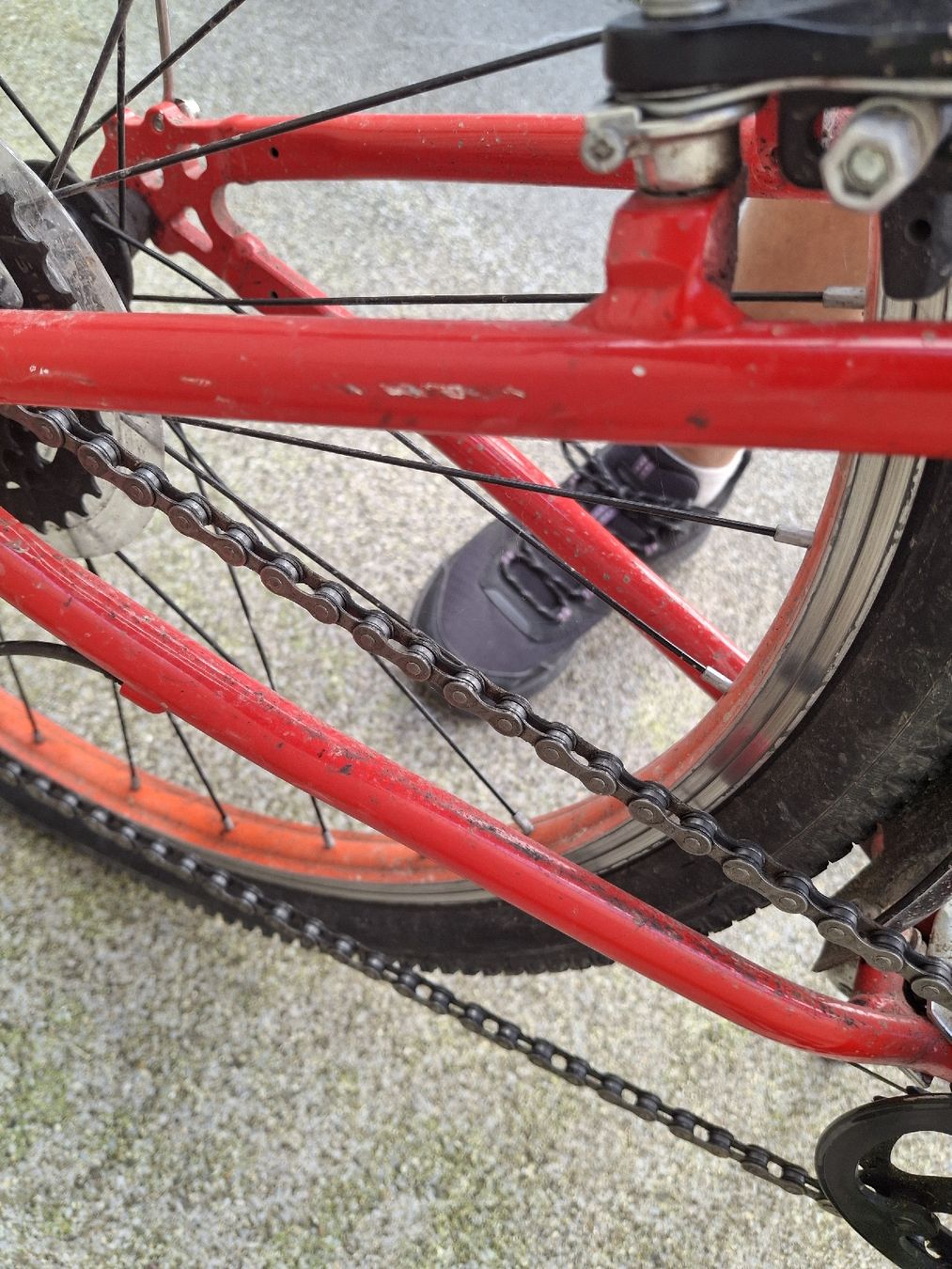 Biciclette: Velo 24 Zoll  – Usato da Adligenswil venduto da Raju 4