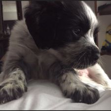 Profile image of lau_5krj