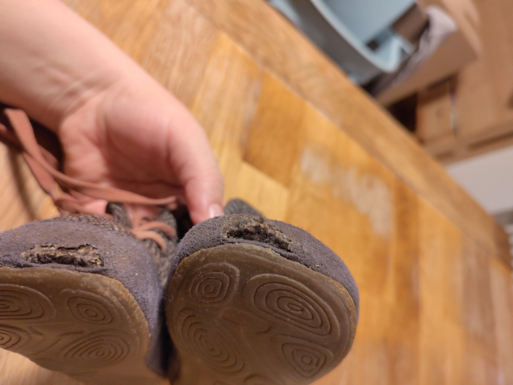 Wildling Scarpe per ragazzi: Wildlinge Schuhe Nordwolf Grösse 19 – Usato da Solothurn venduto da sam9129 3
