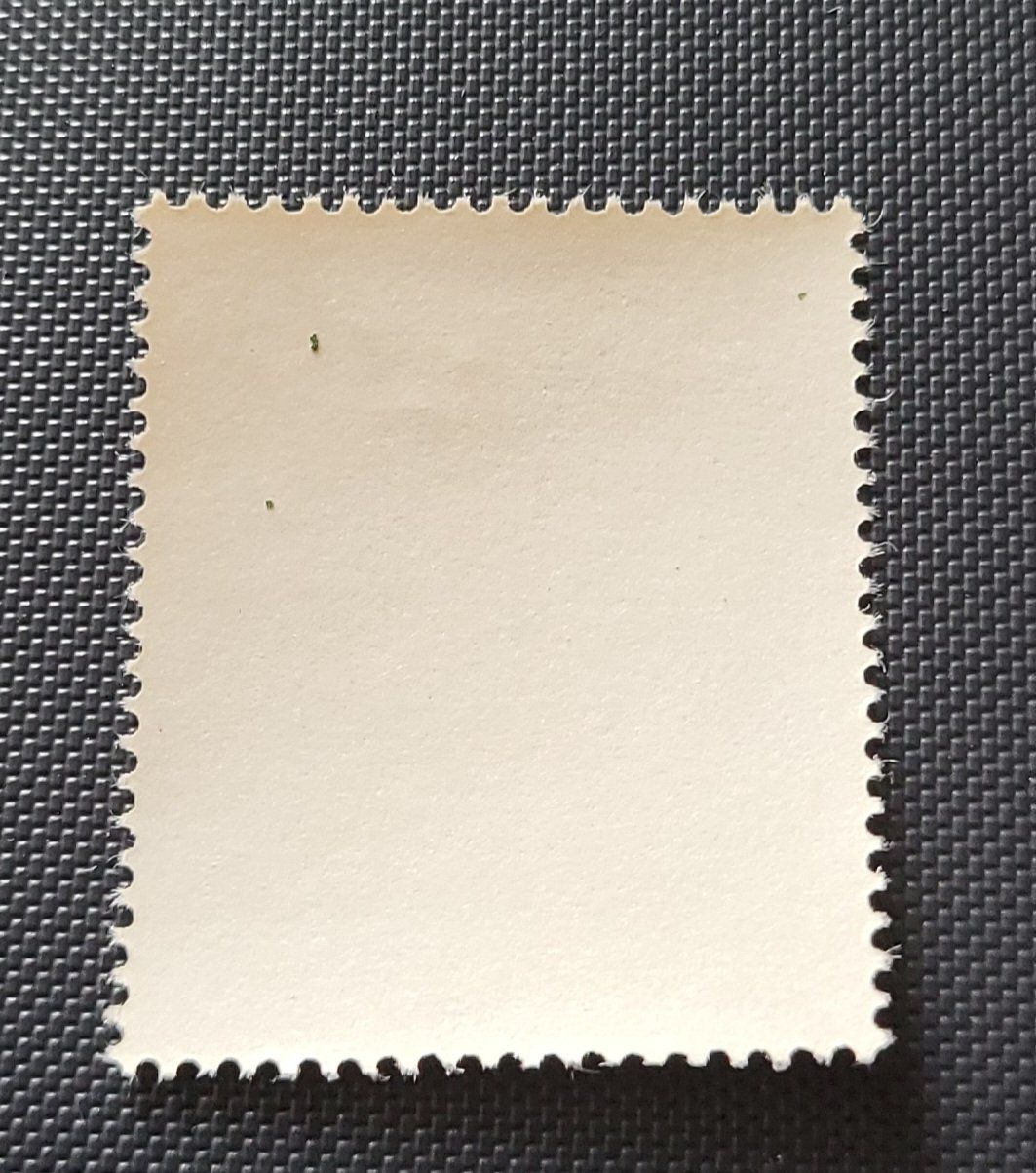 Alle Briefmarken: DDR 1988 blumen briefmarke – Gebraucht aus St Gallen von Stampsalshobby 1
