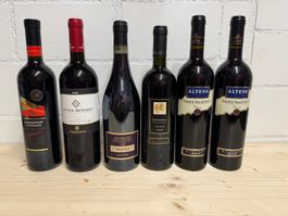 Konvolut Italien – Amarone/Ripasso/Etna – 6 Flaschen – Lot 1