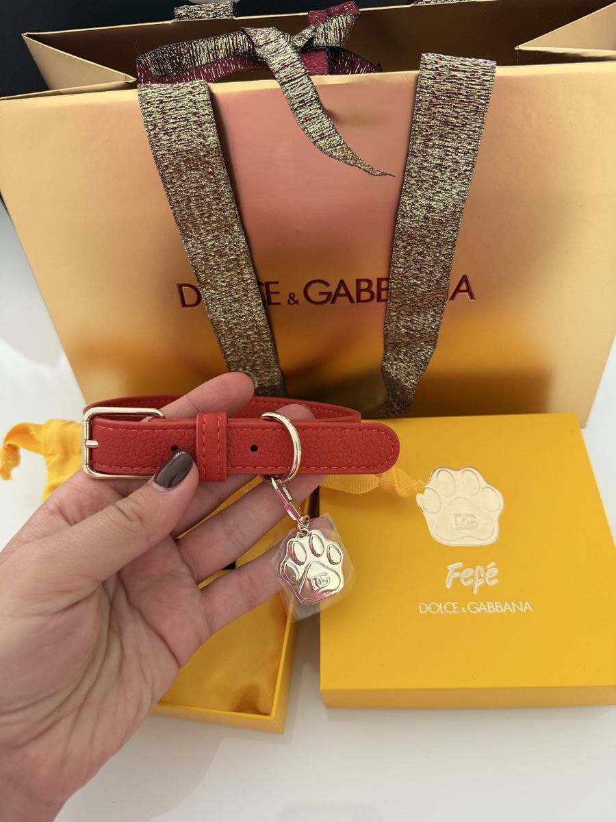 Guinzagli & Collari: D&G dog collar – Nuovo e nell'imballaggio originale da Fahrweid venduto da Stellar_times