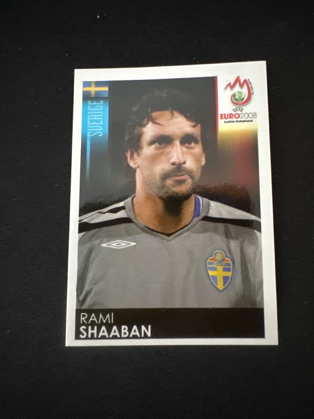 Panini Carte collezionabili: Panini UEFA EM 2008 Sticker - Nr. 409 – Usato da Sulz AG venduto da DealWerk