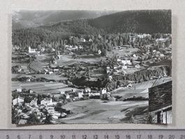 Flims - Dorf und Waldhaus