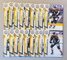 National League - Serie 1 - Base-Karten komplett - HCL