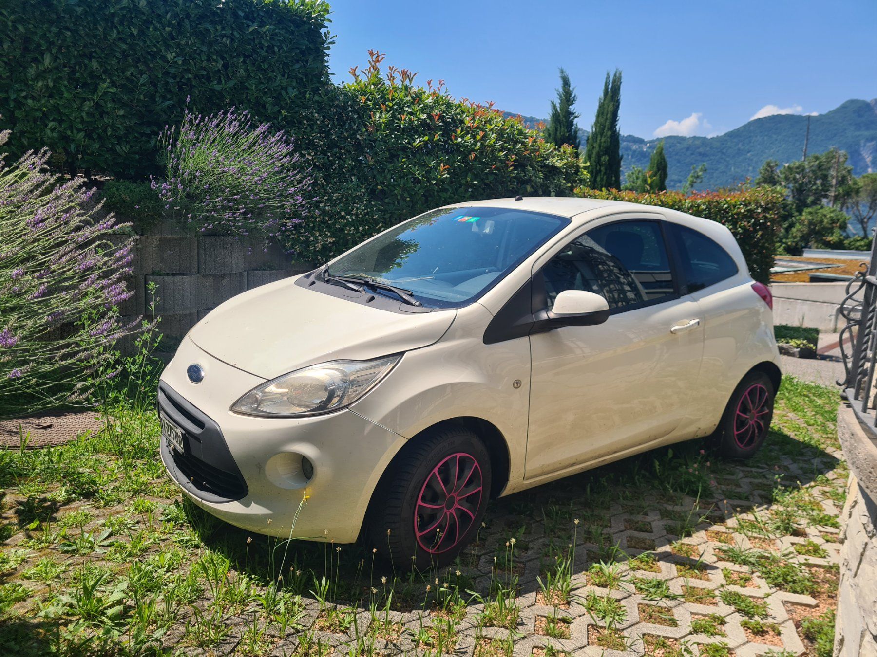 Ford Automobili: FORD KA 1.25 TITANIUM + – Usato da Carona venduto da bia_79tb