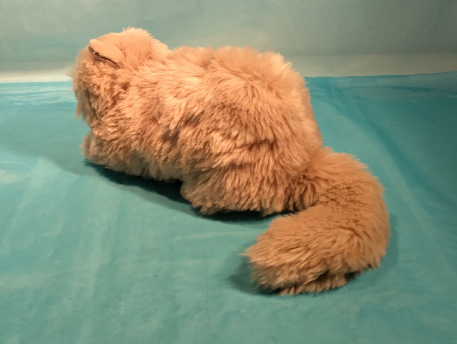 Teddy Hermann Giocattoli: Perser Katze, Plüsch, grau, Teddy Hermann Collection, L:25cm – Nuovo (secondo la descrizione) da Bellach venduto da JingleCherry 3