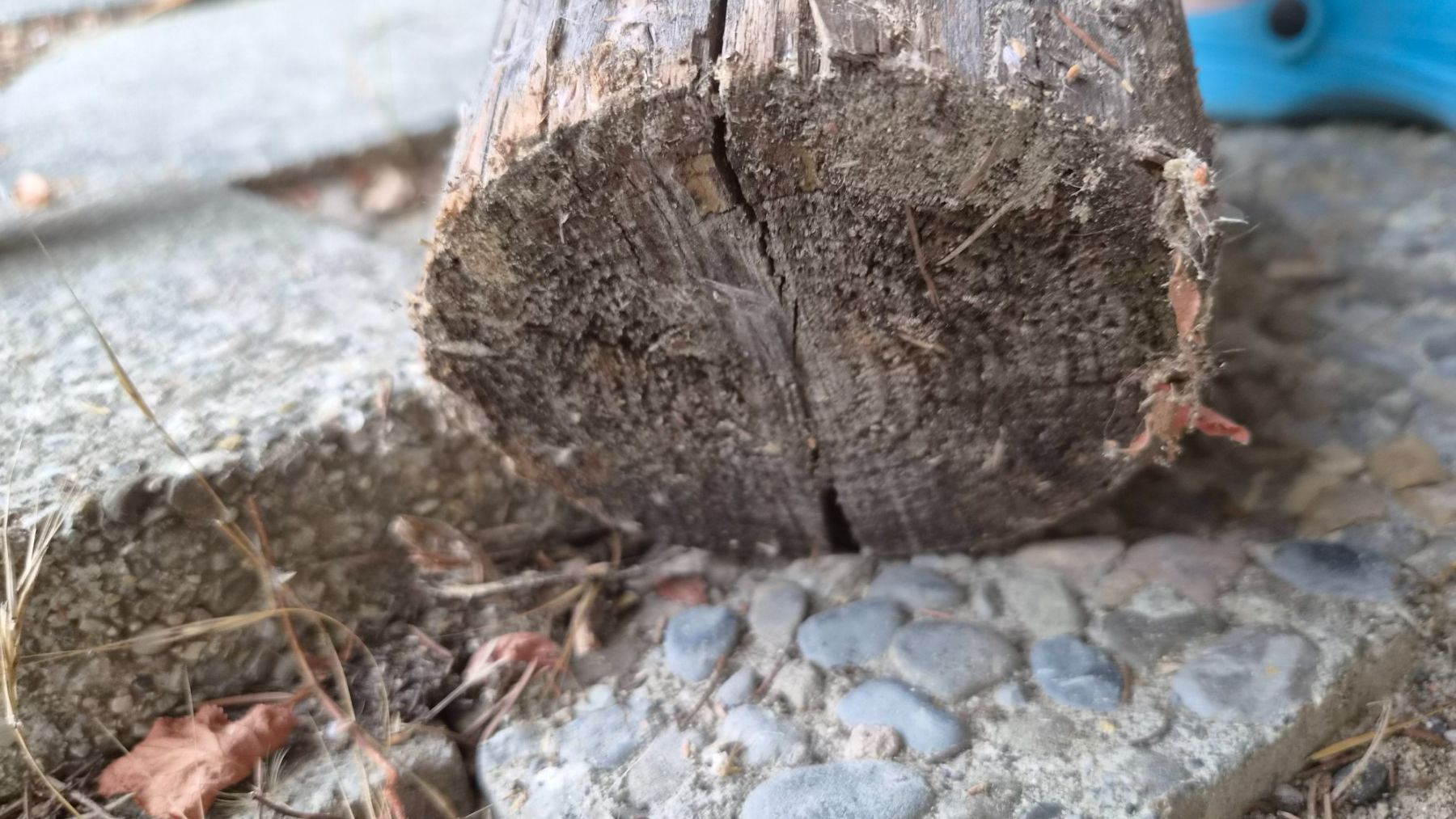 Articoli in legno: Holzpfahl Rundholz – Usato da Bischofszell venduto da -fr-5 2