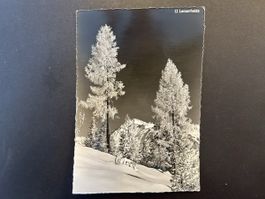 Lenzerheide Partie Winter