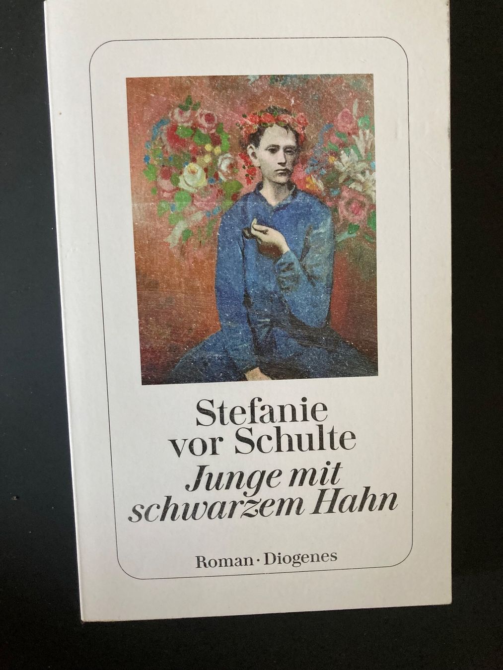 Libri: Stefanie vor Schulte Junge mit Schwarzem Hahn – Usato da Wädenswil venduto da Minou_ql76