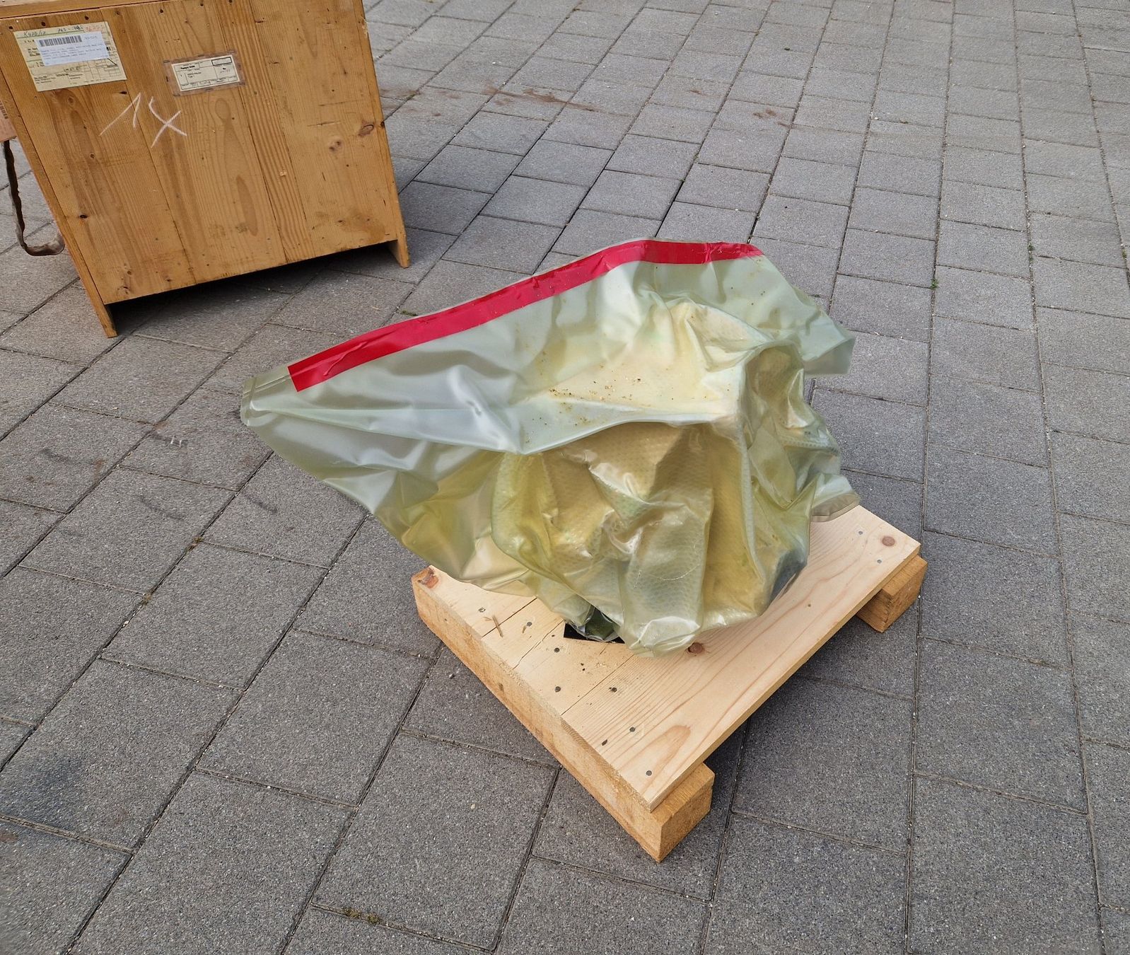 Motosacoche  Motori: MAG Motor mit Pumpe – Usato da Gampelen venduto da Schmidi887 7