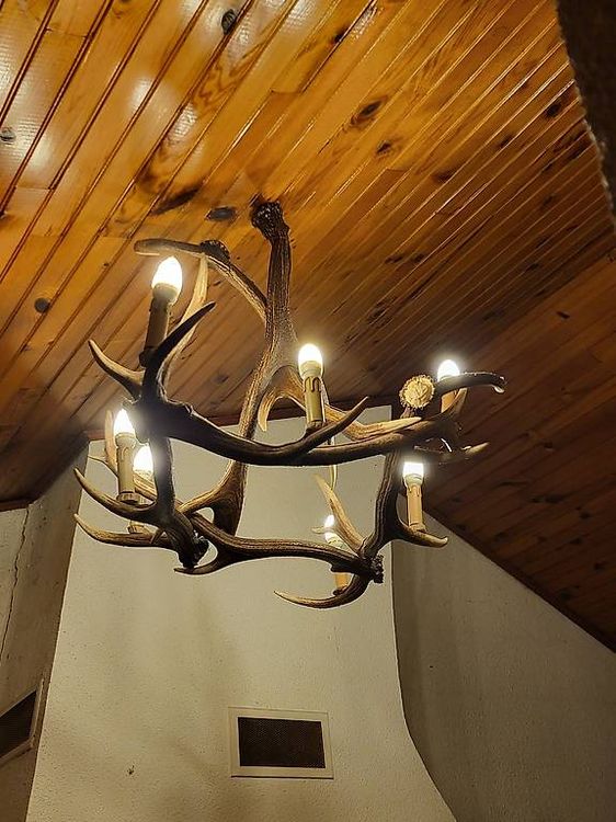 Superbe Chandelier En Bois De Cerf Véritable - 3 Feux, Bougeoir Vintage Unique
