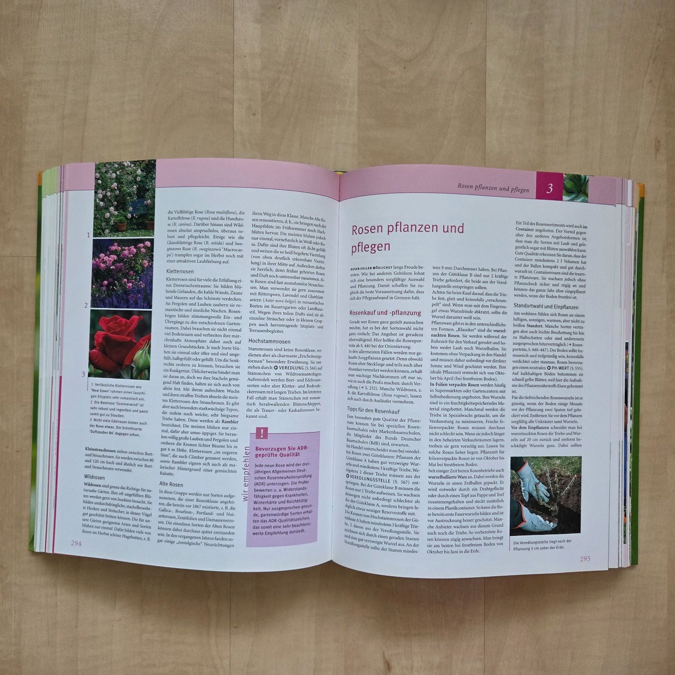 Livres: Das grosse GU Praxishandbuch Garten – D'occasion à Zug par Sunshine_113 3