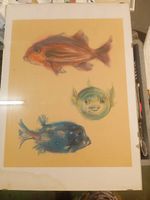 Meyer gasters fische