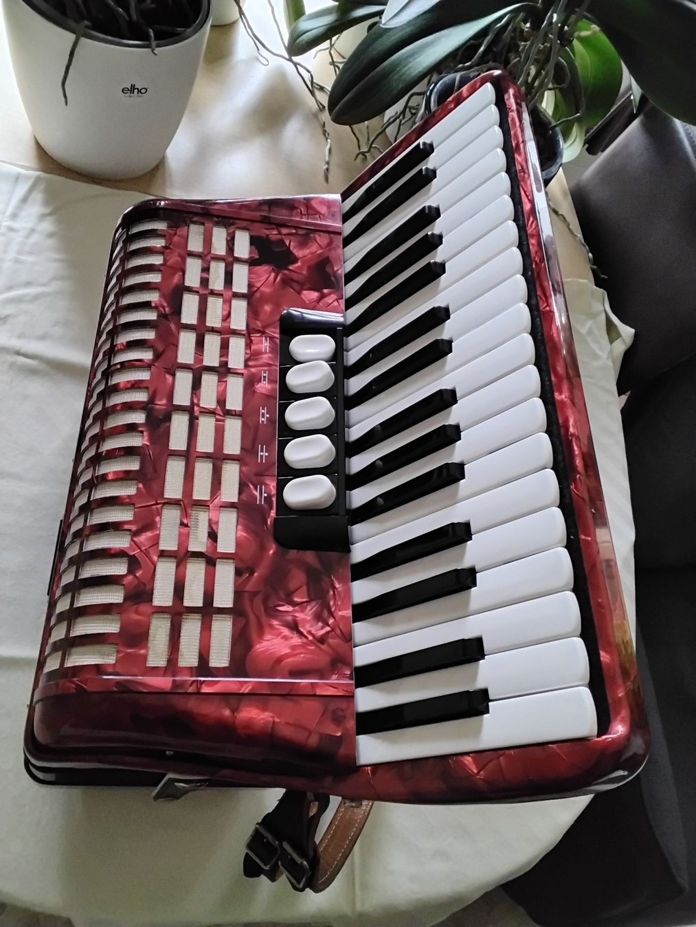 Musikinstrumente: Akkordeon HOHNER Concerto lll N – Gebraucht aus Oberkirch LU von De.Mac 5