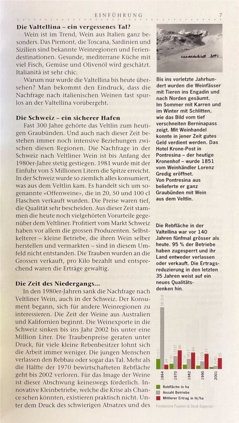 Libri: Vie e Vini della Valtellina - Ein Wein-Reiseführer – Nuovo e nell'imballaggio originale da Sarnen venduto da Livres 4