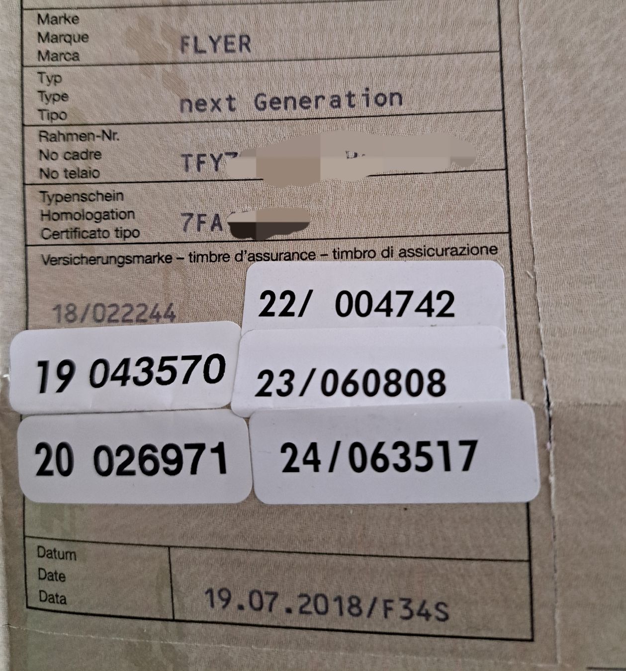 Flyer Biciclette: Flyer next Generation 2018 (Defekt) – Difettoso da Schüpfen venduto da kascho47 5