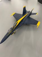 F/A-18 blue angels